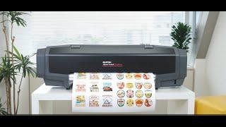 MUTOH XpertJet C641SR Pro Printer/Cutter