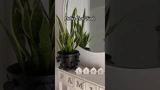 DOLLAR TREE DIY PLANTERS #planter #plantpots #diy    #diyhomedecor #diyideas #diycrafts #dollartree