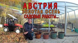 АВСТРИЯ. Самоизоляция на природе...Сажаю плодовый сад..