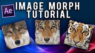Morph Effect in After Effects [no plug-ins]