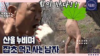 [#1/2] 산을 누비며 잡초를 먹고사는 알몸男 (?)｜MBN 190405 방송