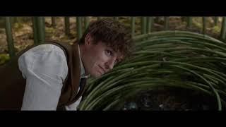 Фантастические твари и где они обитают 3 (Fantastic Beasts and Where to Find Them 3) Trailer трейлер