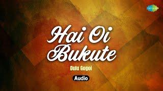 Hai Oi Bukute | Dulu Gogoi | Pranoy Dutta | Guru Arjun Dev Ji | Assamese Audio Song