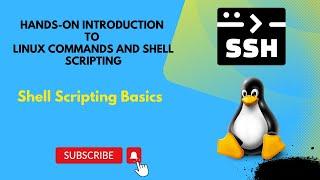 Shell Scripting Basics || Hands-on Introduction to Linux Commands and Shell Scripting