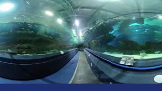 3D Blue Planet Aquarium by Simcoemedia