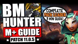 11.0.5 BM Hunter PACK LEADER M+ Guide