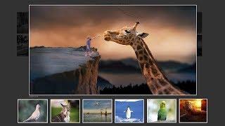 How To Make Image Gallery In HTML, CSS & JavaScript | LightBox Gallery Slider