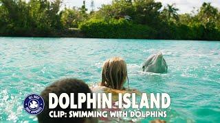 Dolphin Island - Clip #3: Swimming with Dolphins