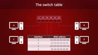 Hub, Switch or Router؟ Network Devices Explained