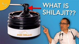 A Doctor Reviews: Shilajit