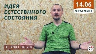 Естественное состояние - Андрей Тирса - (Фрагмент встречи 14.06.19)