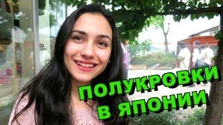 ПРОБЛЕМЫ ПОЛУКРОВОК В ЯПОНИИ. АРИСА