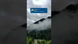 Sad Quotes Reels Status | Instagram Story Status - Shahma Edits