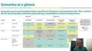 118 - Greening the Financial System: Climate Risk Scenarios