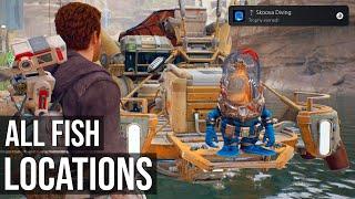 Skoova Diving Trophy (Fill The Aquarium In The Cantina) All Fish Locations - Star Wars Jedi Survivor