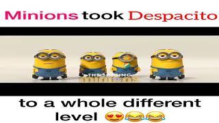 Minions Singing Despacito | Minions Despacito Cover Song