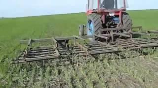 Выращивание органической пшеницы. Часть 1.(Growing organic wheat. Part 1.)