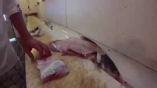 More Meat to Eat Catfish Cleaning Tip