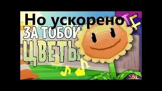 За тобой цветы, но это ускоренная версия!