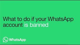 How to take action if your WhatsApp account is banned | WhatsApp