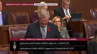 2024-11-05   Sen Plett on Bill C-275 at Report Stage