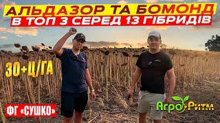 РЕКОРДИ НА ОДЕЩИНІ 30+ц\га!АЛЬДАЗОР ТА БОМОНД В ТОП-3 СЕРЕД 13 НАЙКРАЩИХ ГІБРИДІВ! ФГ "СУШКОВЕ"