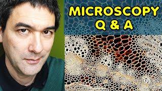 Microscopy Questions and Answers