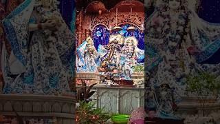 Maan Mandir Mein Saje Bihari #bihari #srikrishna #krishna #vrindavan #iskcon