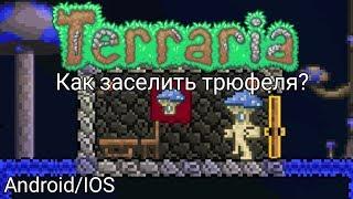 Terraria Guide || Как заселить трюфеля? Android/IOS