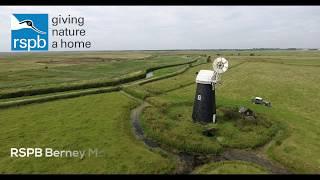 RSPB Berney Marshes: water for wildlife