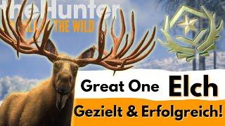 Great One Elch Grind: Dein ultimativer Guide für Hunter COTW!