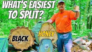 FIREWOOD | Honey locust vs black locust