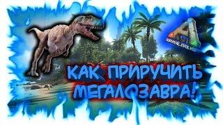 ARK: Survival Evolved! Как приручить Мегалозавра!