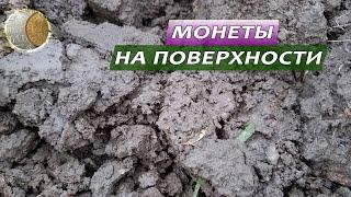 0811 / По следам пропавших деревень 8 / В поисках монет и кладов с XP Deus 2