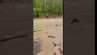 Western Bath County Flooding (May 16, 2020)