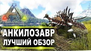 Анкилозавр Ankylosaurus в АРК  Лучший обзор приручение, разведение и способности  в ark