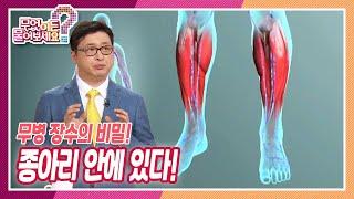 [무엇이든 물어보세요] 무병 장수의 비밀! 종아리 안에 있다? | KBS 220428 방송