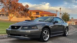 2004 Mach 1 Rebuild