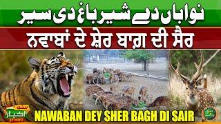 Nawaban Dey Sher Bagh Di Sair | Bahawalpur Zoo | Suno Akhbar