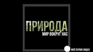 Красота природы//МИР ВОКРУГ НАС//Первое видео