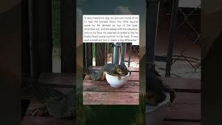 Squirrel Falls Asleep on Ice Bowl During Heatwave