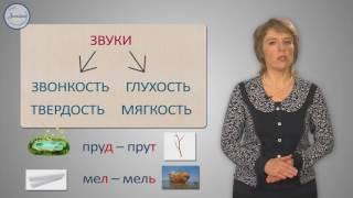 Русский 1 класс. Согласные звуки и их буквы