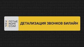 Детализация звонков билайн