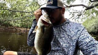 Satilla River bass fishing 