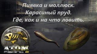 Atom Fishing II - Пиявка и моллюск. Карасиный пруд. Где, как и на что ловить.