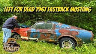 Will it run?? 1967 Fastback Mustang. Rescued from WV holler! ￼