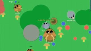 MOPE.IO САМЫЙ МАЛЕНЬКИЙ СЛОН | ЛУЧШИЙ ТРОЛЛИНГ