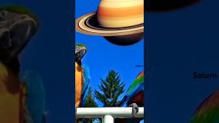 Solar System Size In Perspective | 3D Universe Size Comparison | Solar System | Planet falling