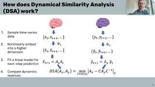 W1D3 - Comparing Artificial and Biological Neural Networks - Bonus Material