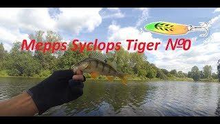 Mepps Syclops Tiger №0 Два дня рыбачил на колебалку))